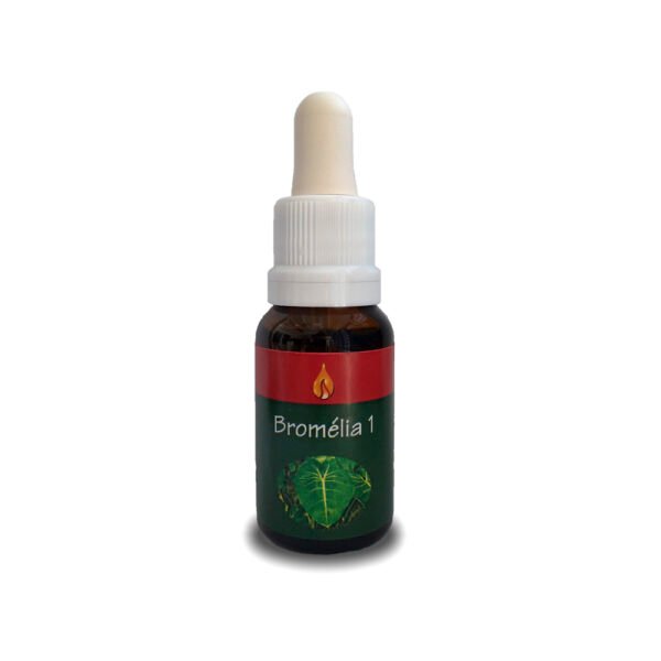 Bromélia 1 15ml - ARARÊTAMA