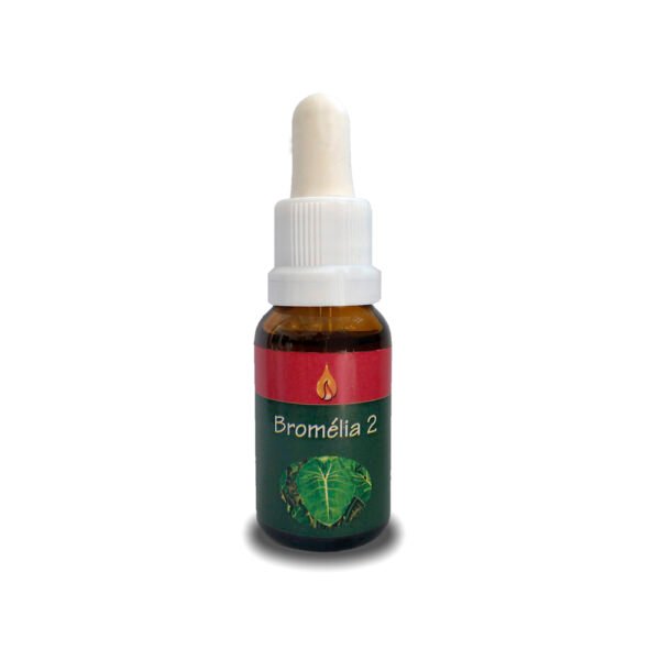 Bromélia 2 15ml - ARARÊTAMA