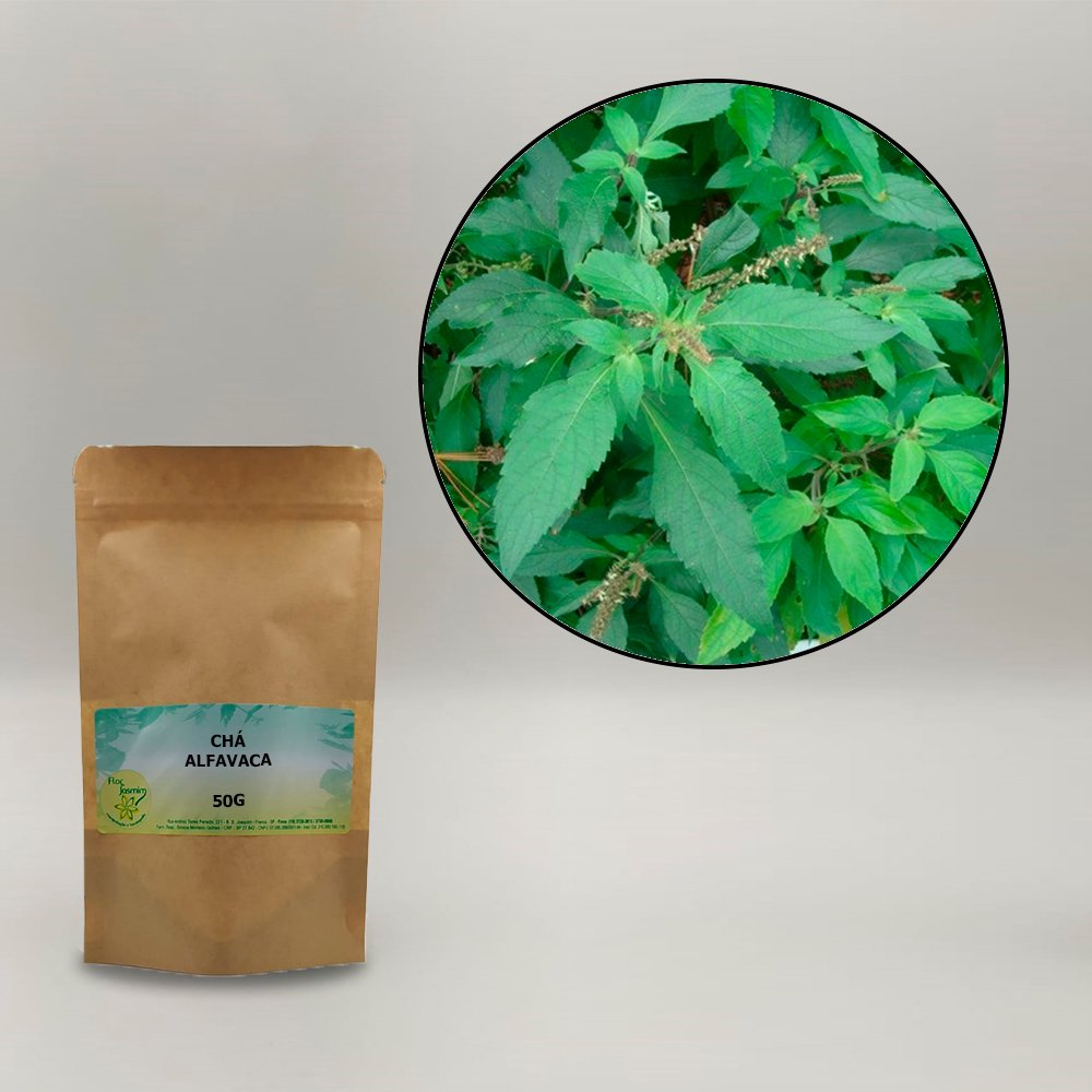 Alfavaca 50g - ERVA FJ