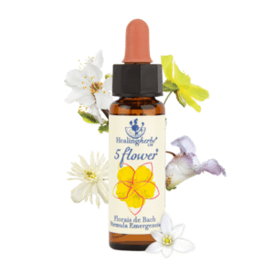 Five Flowers (RESCUE REMEDY) Emergencial 10ml - FLORAL DE BACH