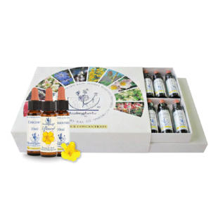 Kit Florais de Bach 10ml - HEALING HERBS