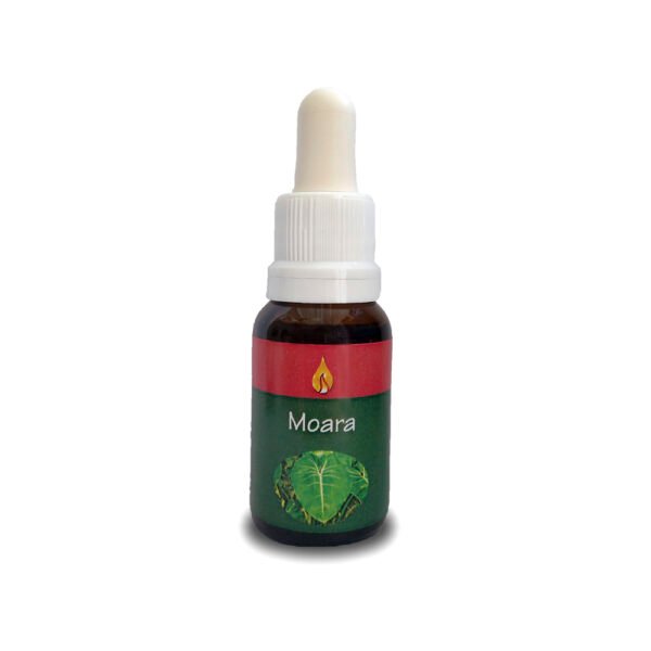 Moara 15ml - ARARÊTAMA