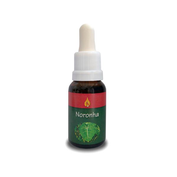 Noronha 15ml - ARARÊTAMA