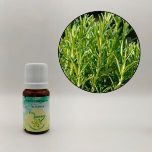 Alecrim 10ml - ÓLEO ESSENCIAL FJ
