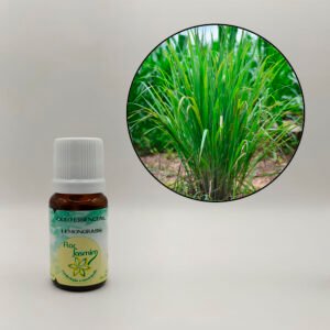 Capim Limão 10ml - ÓLEO ESSENCIAL FJ