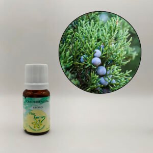 ÓLEO ESSENCIAL CEDRO 10ML