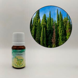 Cipreste 10ml - ÓLEO ESSENCIAL FJ