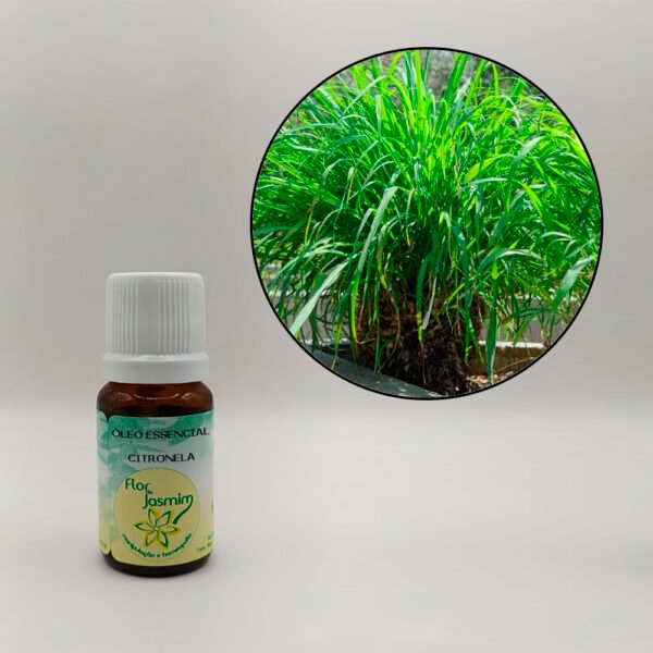 Citronela 10ml - ÓLEO ESSENCIAL FJ