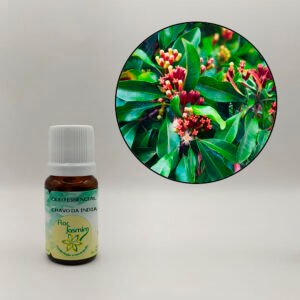 Cravo 10ml - ÓLEO ESSENCIAL FJ