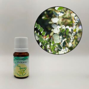 Eucalipto 10ml - ÓLEO ESSENCIAL FJ