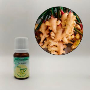 Gengibre 10ml - ÓLEO ESSENCIAL FJ