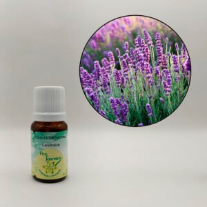 Lavanda 10ml - ÓLEO ESSENCIAL FJ