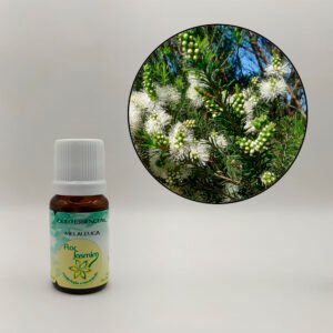 Melaleuca (Tea Tree) 10ml - ÓLEO ESSENCIAL FJ
