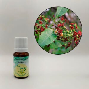 Sândalo 10ml - ÓLEO ESSENCIAL FJ