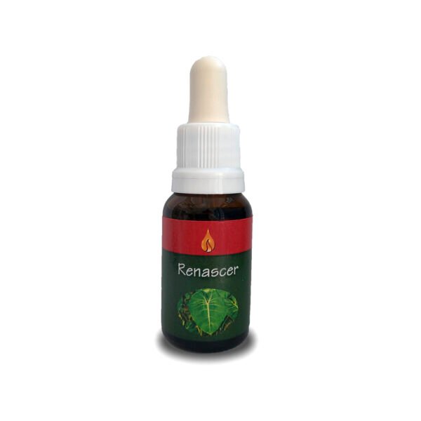Renascer 15ml - ARARÊTAMA