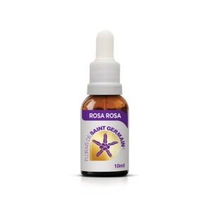 Rosa Rosa 10ml - SAINT GERMAIN