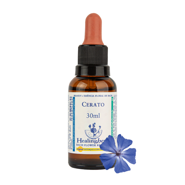 Cerato 30ml - FLORAL DE BACH