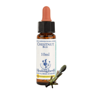 Chestnut Bud 10ml - FLORAL DE BACH