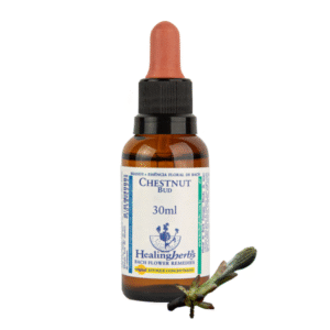 CHESTNUT BUD - FLORAL DE BACH 30ML