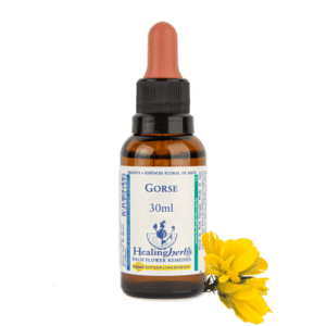 Gorse 30ml - FLORAL DE BACH