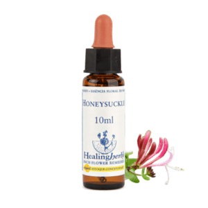 Honeysuck 10ml - FLORAL DE BACH