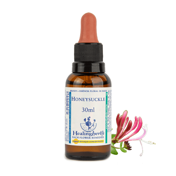 Honeysuck 30ml - FLORAL DE BACH