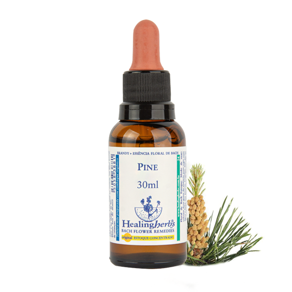 Pine 30ml - FLORAL DE BACH