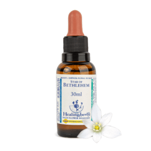 Star Of Bethlehem 30ml - FLORAL DE BACH