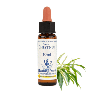 Sweet Chestnut 10ml - FLORAL DE BACH