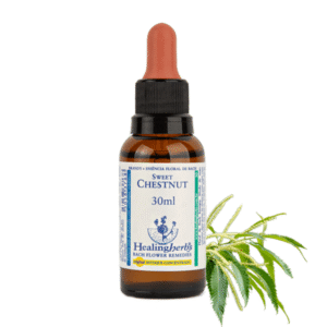 Sweet Chestnut 30ml - FLORAL DE BACH