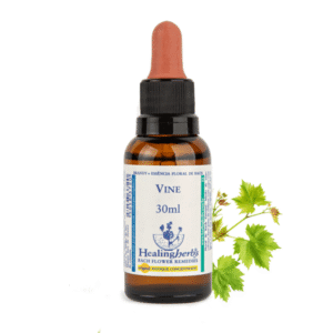 Vine 30ml - FLORAL DE BACH