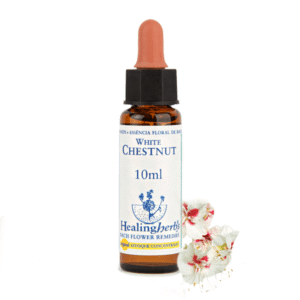 White Chestnut 10ml - FLORAL DE BACH