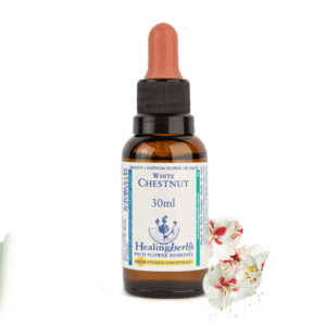 White Chestnut 30ml - FLORAL DE BACH