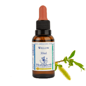 Willow 30ml - FLORAL DE BACH