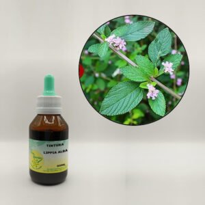 Lipia (Falsa Melissa) - TINTURA FJ